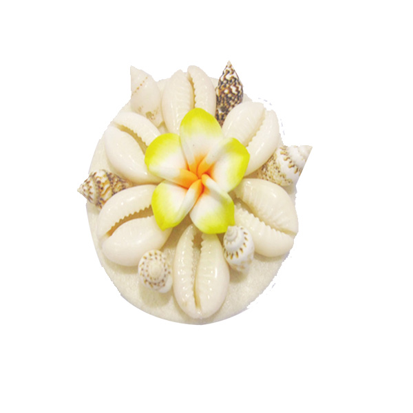 CX40,Conch Material ,shoes charm,shoe of shoes charm,shell design ornament shoe of shoes charm